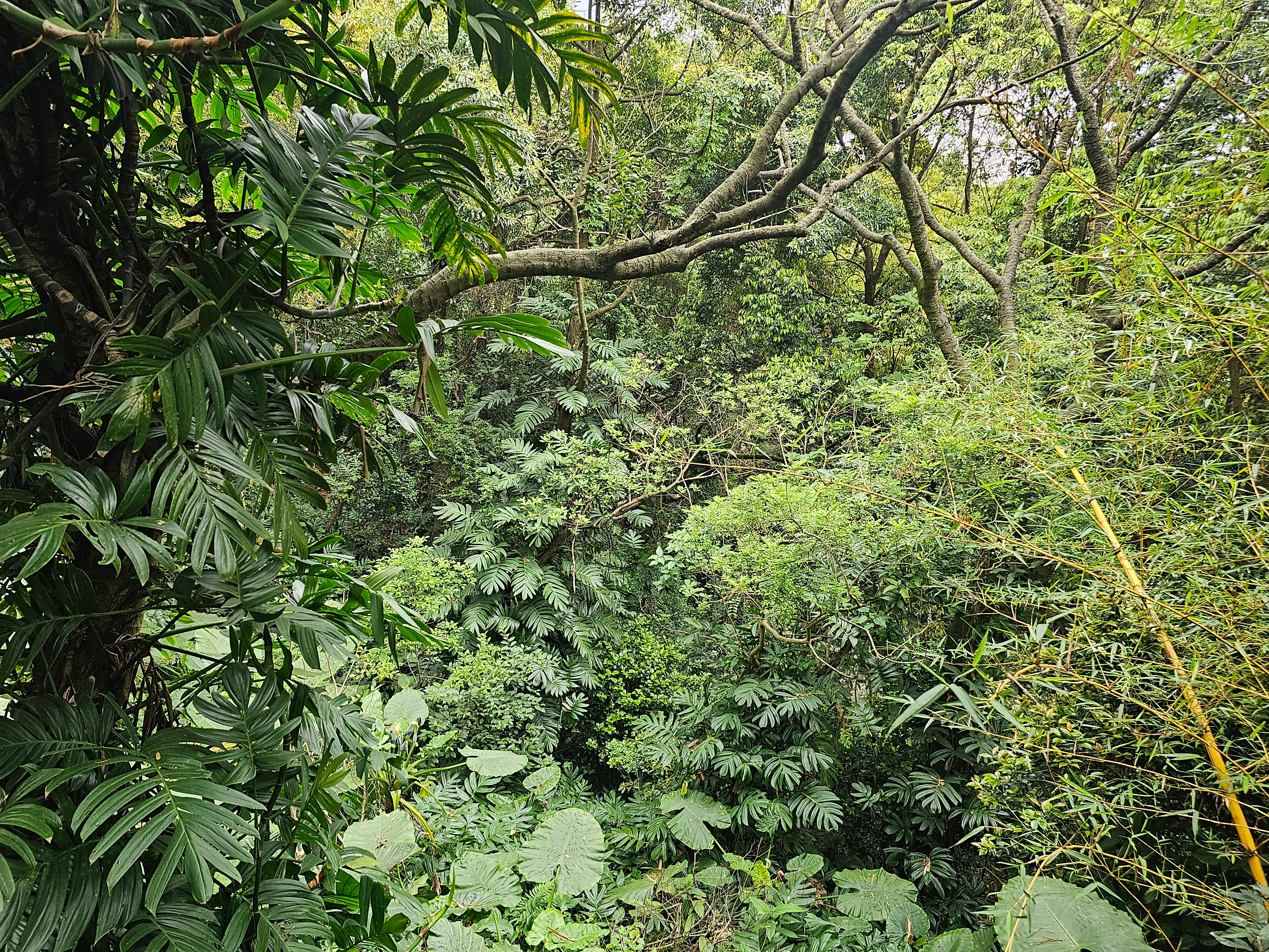 白云山风景