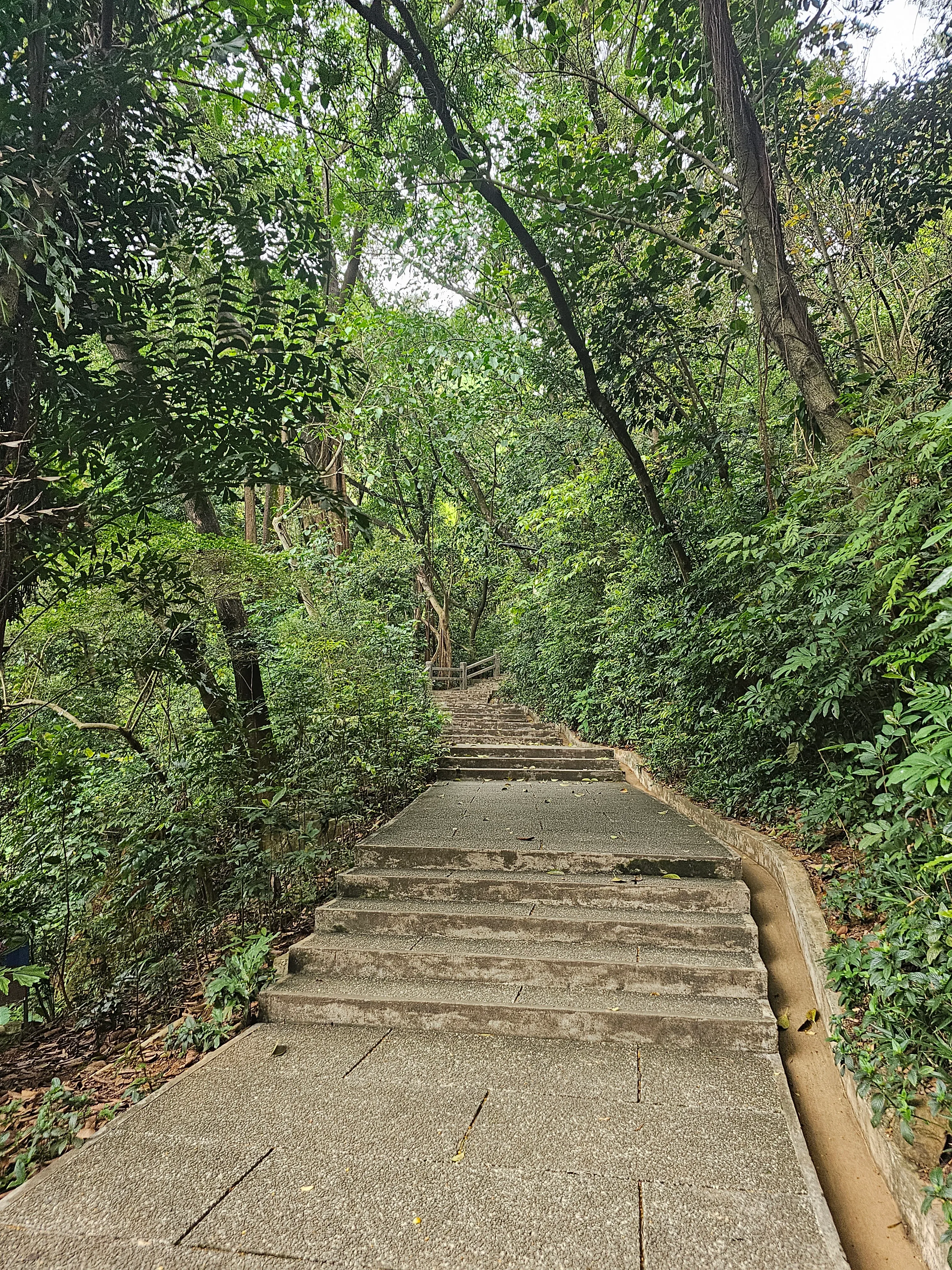 白云山风景